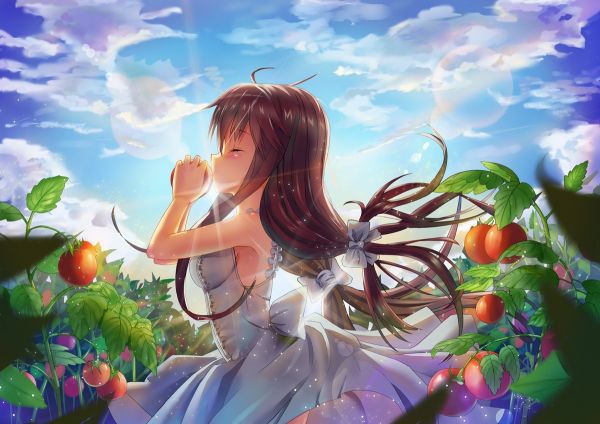 ilustración,Anime,Chicas anime,Pixiv,flor,mitología