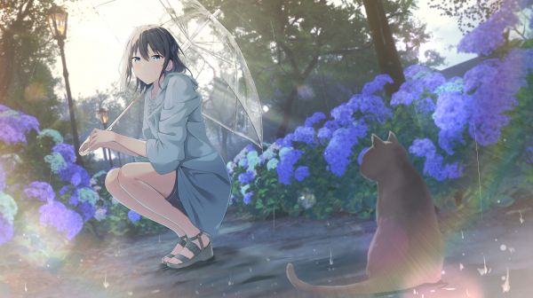 Chicas anime,Mirando al espectador,Animales,Flores azules,allanamiento,lluvia