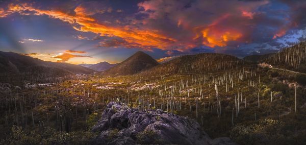 luce del sole, paesaggio, tramonto, natura, cielo, collina