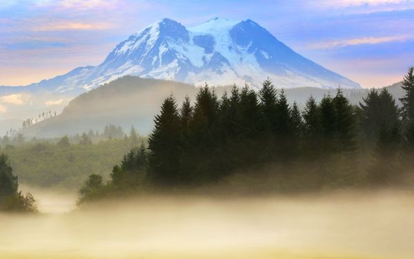 дървета,пейзаж,гора,планини,слънчева светлина,хълм