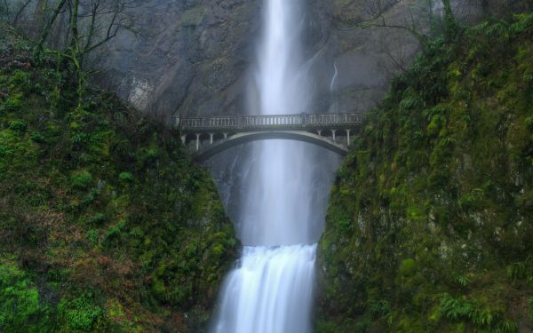 cascadă,apă,pod,pădure tropicală,Wasserfall,fenomen atmosferic