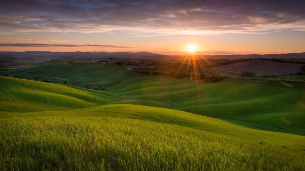 Collines,Italie,la nature,2048x1152 px,champ,paysage