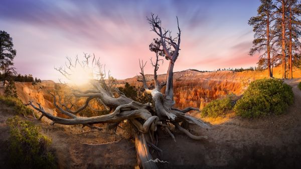 Utah,Bryce Kanyonu Milli Parkı,doğa