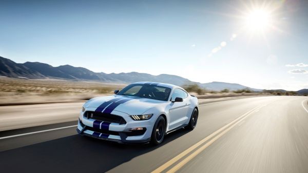 1920x1080 px,รถ,ฟอร์ด Mustang Shelby,Shelby GT350