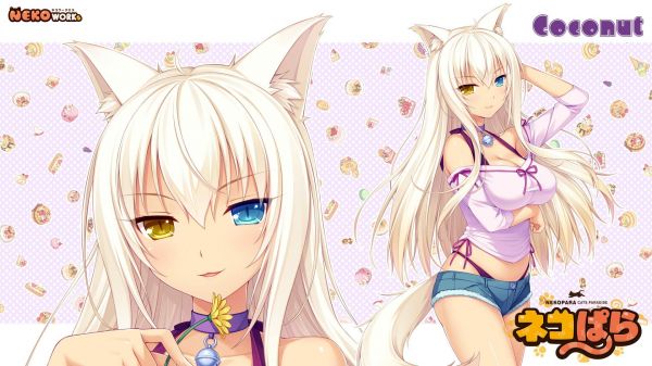 Neko Para,1920x1080 px,Coconut Nekopara,Neko Works,Nekomimi,ซาโยริ