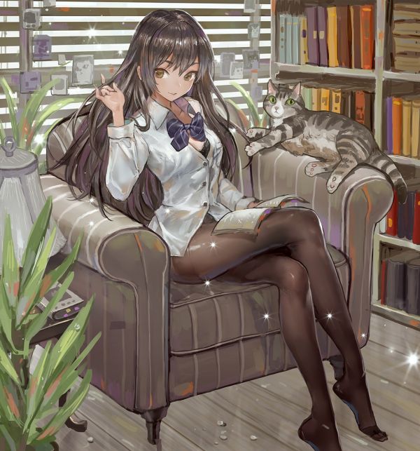 capelli lunghi,anime,anime girls,brunetta,gatto,libri