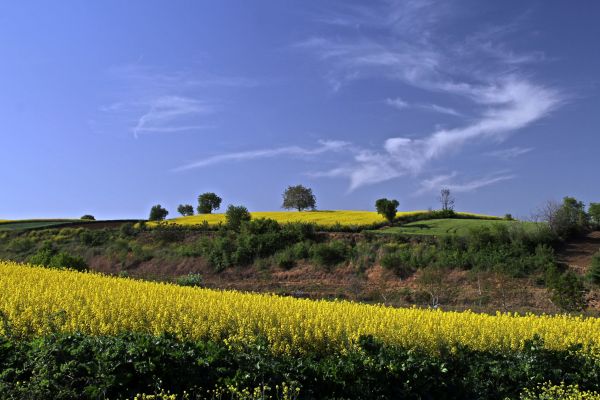 zonlicht,landschap,natuur,gras,hemel,heuvel