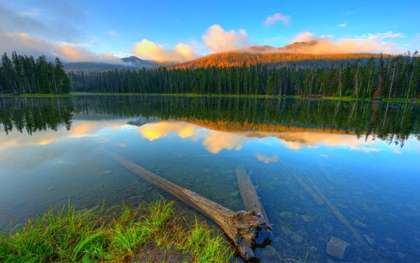 paesaggio,foresta,montagne,tramonto,lago,acqua