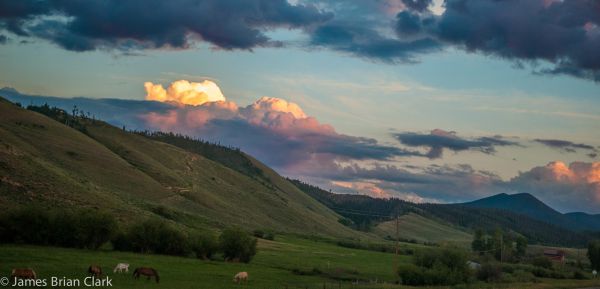 copaci, peisaj, pădure, cădea, frunze, alb