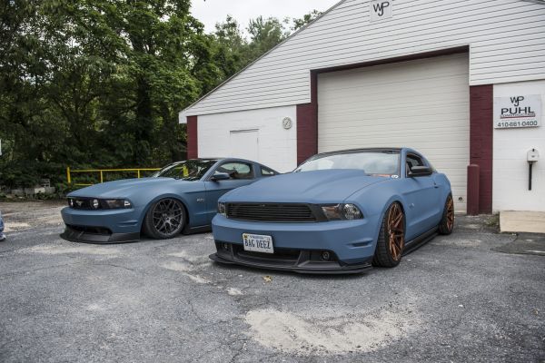 voiture,véhicule,Voitures musculaires,voiture de sport,Gué,Ford Mustang