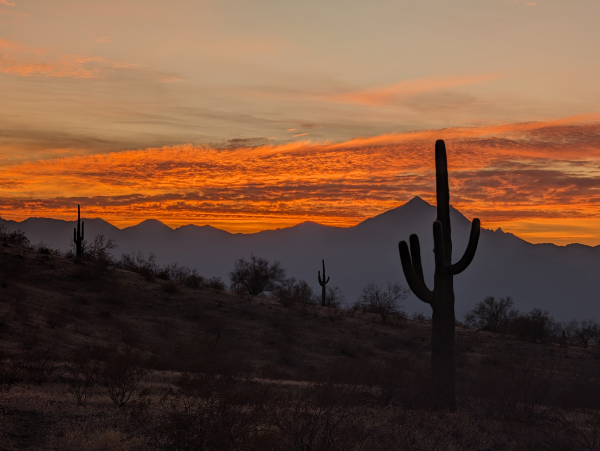 cactus,woestijn,Arizona,phoenix city,bergen,wolken