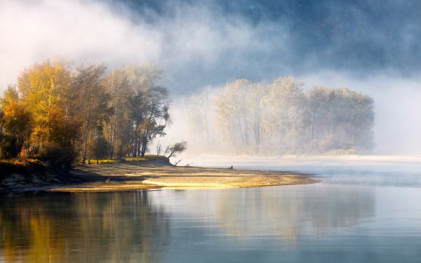 landscape,sunlight,trees,forest,fall,lake