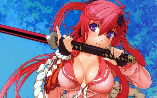 anime,anime jenter,Hyakka Ryouran Samurai Girls,Yagyuu Juubei