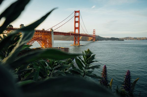 rivier-,brug,Californië,Golden Gate Bridge,planten,San Francisco