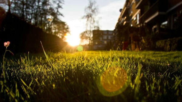 zonlicht,zonsondergang,scherptediepte,nacht,natuur,reflectie