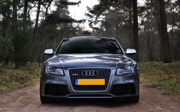 Audi RS5,Araba,2560x1600 piksel