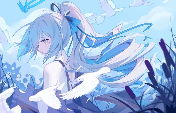 อะนิเมะ,สาวอะนิเมะ,Pixiv,Honkai Impact 3rd,Bronya Zaychik,นก