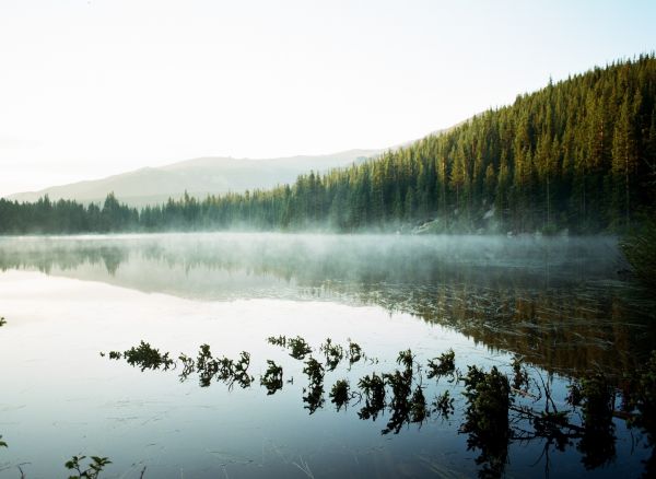 日光,風景,森林,湖,水,自然