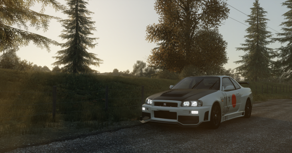 computerspil,Holdet,bil,Nissan Skyline GT R R34,Japanske biler