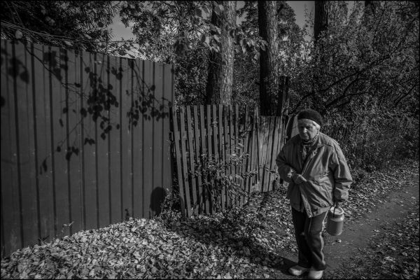 cara, luz de sol, gente, blanco, negro, bosque