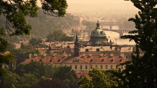 Praga,República Checa,ponte,Edifícios,rio,Vista de cima