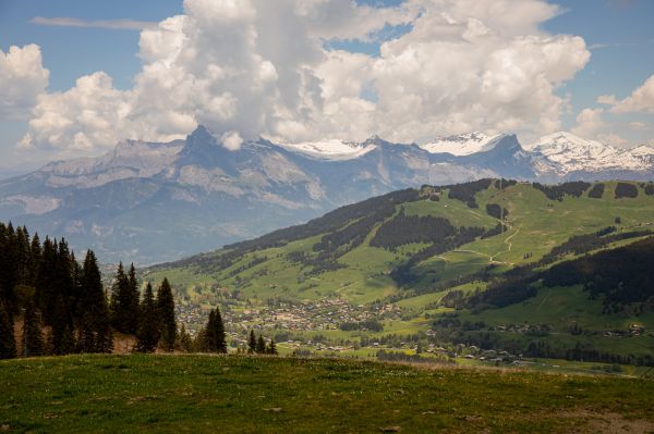 în aer liber,fotografie,natură,verdeaţă,munţi,creastă