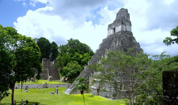 templo,Rocha,construção,Árvores,jardim,parque