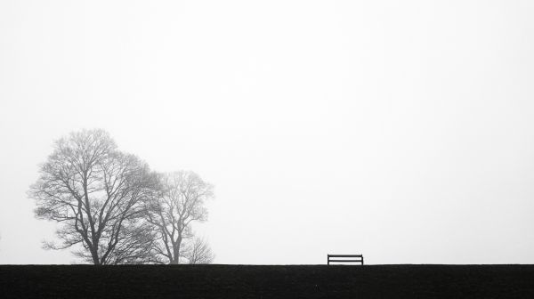 paysage,Bw,noir,blanc,Monochrome,paysages