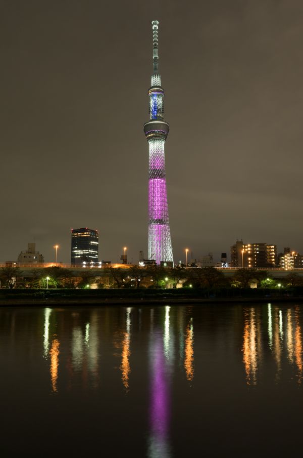 Japan, by, bybilledet, nat, arkitektur, afspejling