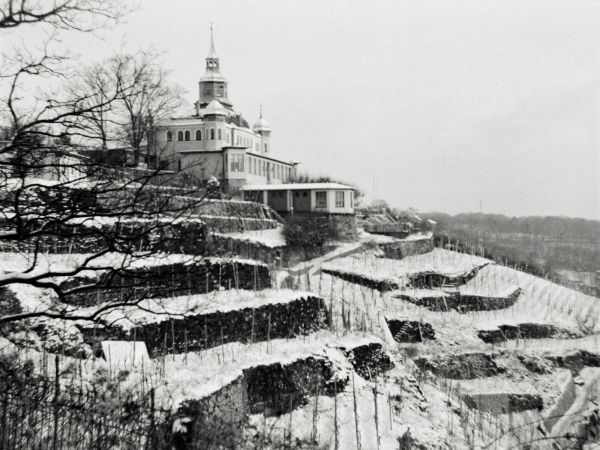 kayu,foto-foto,kehidupan,jalan,kamera,schnee