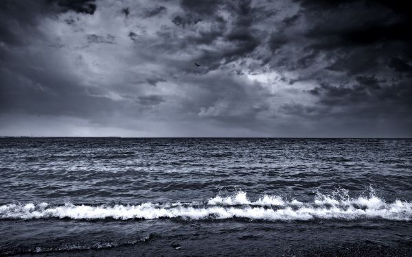 sea,Surf,foam,waves,black and white