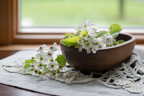 flor,planta,vestir,pétalo,mesa,maceta