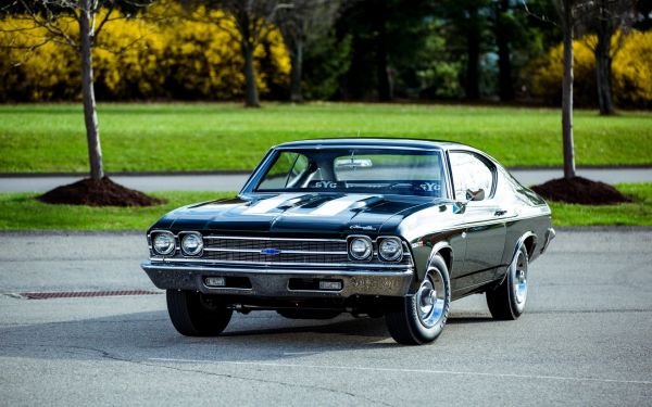 bil,køretøj,sidebillede,sportsvogn,Chevrolet Chevelle,Chevrolet