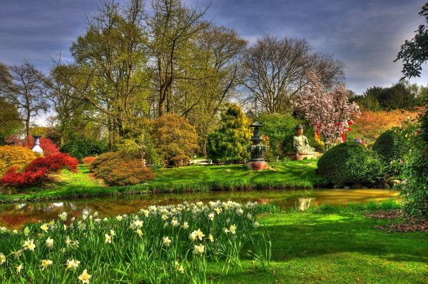 Buddha,květiny,Narcisy,rybník,zahrada,sochy