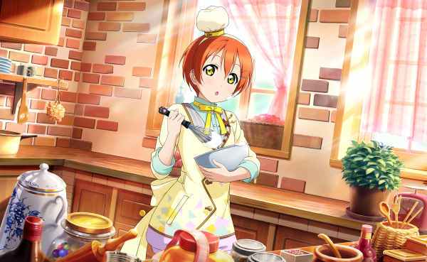 Hoshizora Rin,Hou van het leven