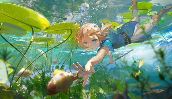 The Legend of Zelda,The Legend of Zelda Breath of the Wild,Link,penyelaman,ikan,air