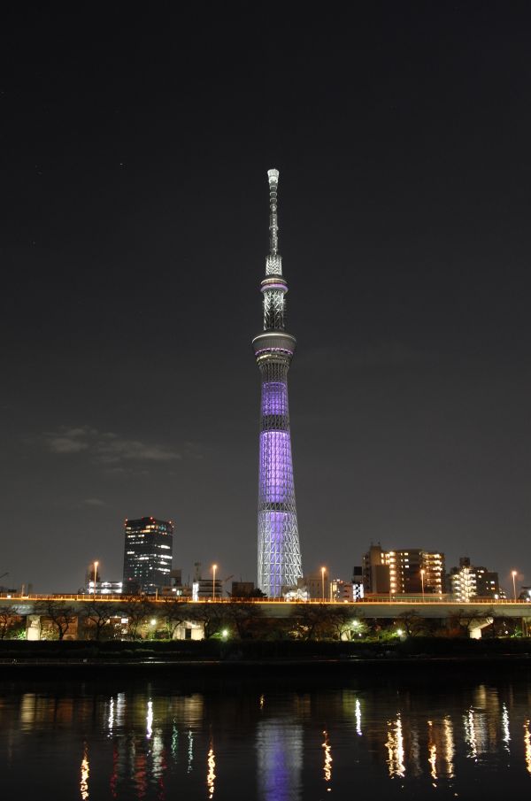 japan,stad,stadsbild,natt,arkitektur,reflexion