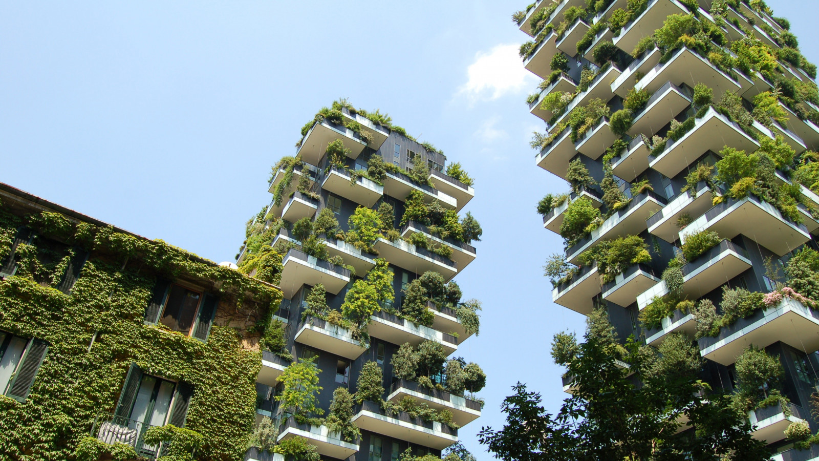 cielo, costruzione, nube, giorno, grattacielo, pianta, architettura, progettazione urbana, albero, bioma, condominio, palazzone, finestra, Zona residenziale, facciata, terrestrial plant, città, edificio commerciale, Torre, simmetria, appartamento, uso misto, composite material, ingegneria, quartier generale, sobborgo, sede centrale, metallo, tetto, polo, tenuta, ARTE, modello, illuminazione diurna