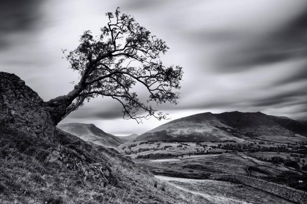 des arbres,paysage,Montagnes,Monochrome,colline,Roche