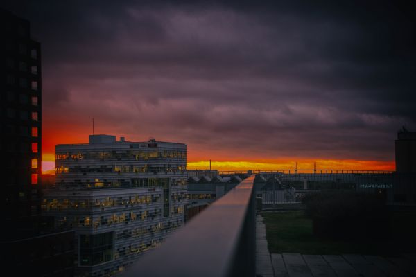 auringonvalo, auringonlasku, kaupunki, kaupunkikuvan, yö-, katu