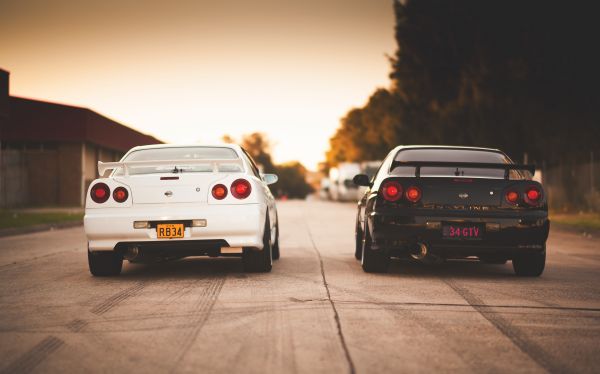 汽车, 车辆, 日产, 日产天际线, 日产Skyline R34, 后视图