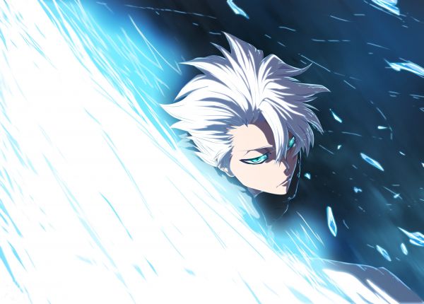 shinigami,Toshiro Hitsugaya,Albire,ARTĂ