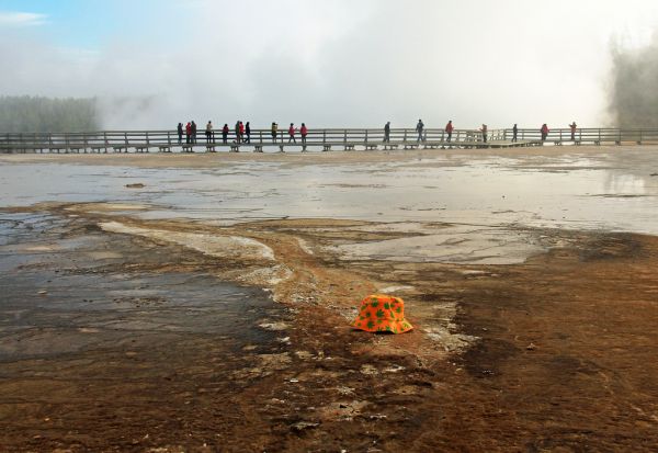 hatt,cannabis,Yellowstone,nasjonalpark,Wyoming,USA