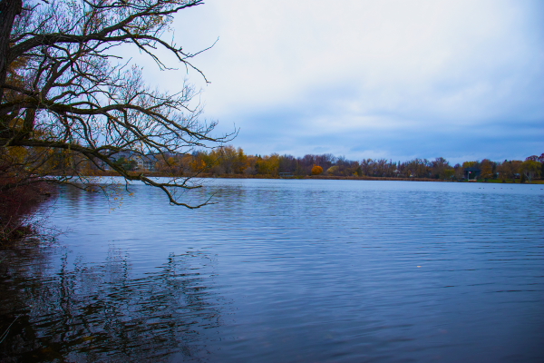 cottage country,apă,lac,Canada,copaci,cer