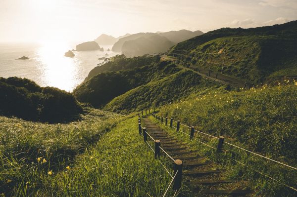 2000x1333 px,ladders,grass,Japan,mountains,Tokyo