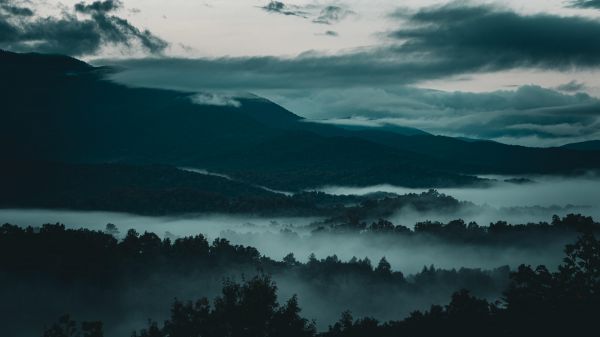 pemandangan,alam,hutan,Fajar,Amerika Serikat,Tennessee