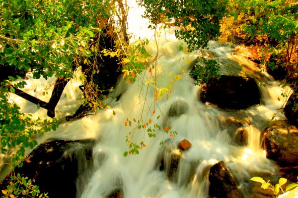 natuur,waterval,warer,Bos,KUNST,schoonheid van de natuur