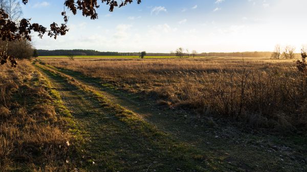 nebe, rostlina, ekoregion, Natural landscape, mrak, pozemek pozemek