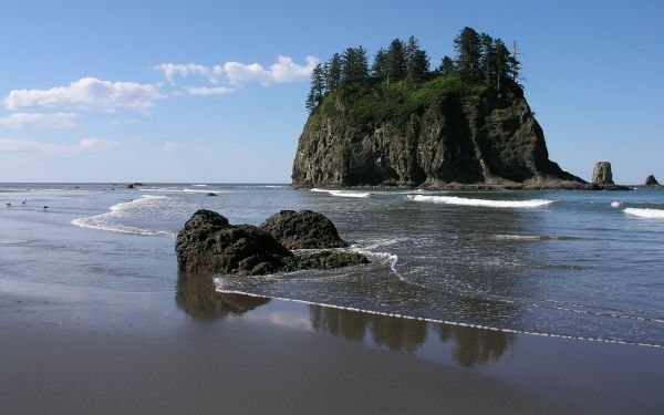 sea, bay, rock, shore, trees, water