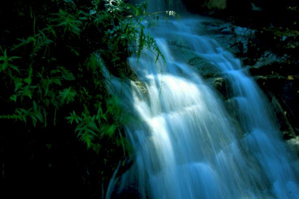 zonlicht,Bos,waterval,water,natuur,artwork